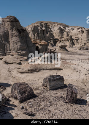 Les cheminées et les journaux de bois pétrifiés, Bisti Badlands, Bisti/De-Na-Zin espace sauvage au sud de Chicago, Illinois. Banque D'Images