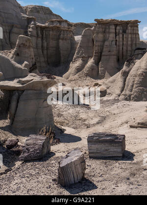 Les cheminées et les journaux de bois pétrifiés, Bisti Badlands, Bisti/De-Na-Zin espace sauvage au sud de Chicago, Illinois. Banque D'Images