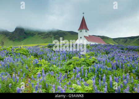 L'emblématique église de Vik, l'Islande. Banque D'Images