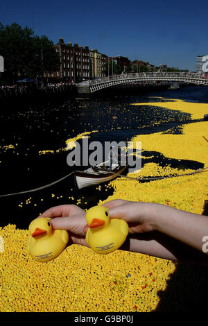 150,000 canards plastiques sont lancés au Millennium Bridge de Dublin, pour se rendre au pont Sean O'Casey, la première tentative irlandaise d'entrer dans le Livre Guinness des records pour la plus grande course de canards plastiques au monde. Banque D'Images