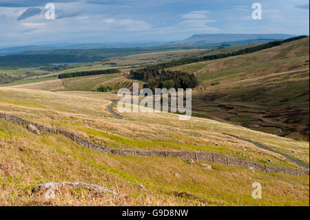 À la partie haute de la vallée Hodder a chuté de Lythe Road au-dessus de Slaidburn dans la forêt de Bowland, Lancashire, Royaume-Uni. Banque D'Images