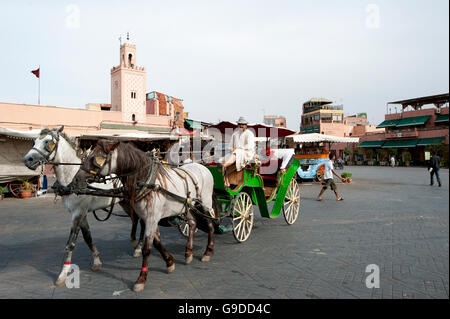 À cheval sur la place Jemaa El Fnaa, Site du patrimoine mondial de l'UNESCO, à Marrakech, Maroc, Afrique du Nord, Afrique Banque D'Images