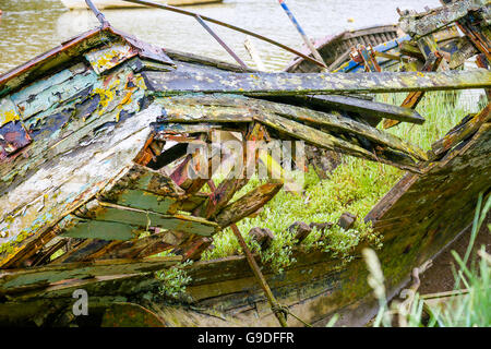 La carcasse d'un vieux bateau de bois couché sur un estuaire côtier. Le navire est en train de pourrir et recouverte de lichen et les mauvaises herbes Banque D'Images