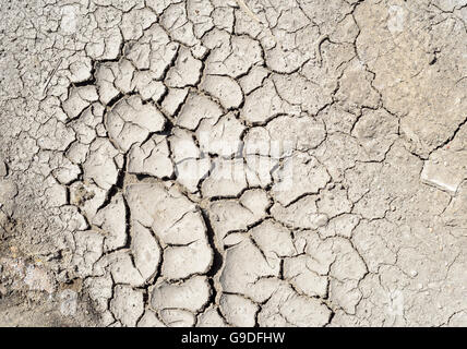 La texture de la boue sèche d'un lit de séchage en raison de la chaleur excessive et de la sécheresse dans l'environnement local. Banque D'Images