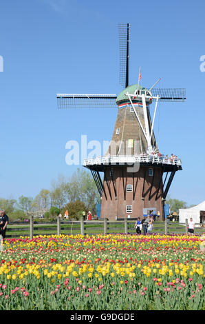 De Zwaan moulin à Windmill Island à Holland, Michigan au cours des tulip time festival Banque D'Images