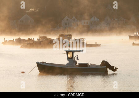 Brume matinale sur Bass Harbor Maine. Banque D'Images