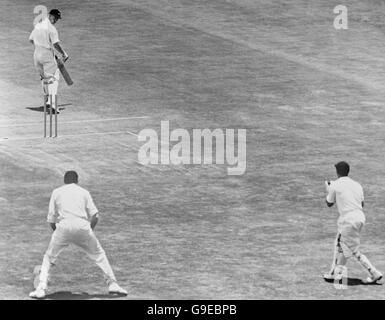 Gerald Ritchie de Transvaal (haut l) regarde en arrière pour voir qu'il a été congédié par Brian Statham (non sur le pic) pour l'Angleterre pour 2 Banque D'Images