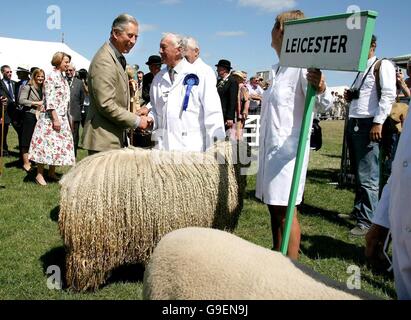 Le Prince de Galles se tourne autour de la zone de jugement des moutons lors d'une visite avec la Duchesse de Cornwall au 148e Grand Yorkshire Show à Harrogate. Banque D'Images