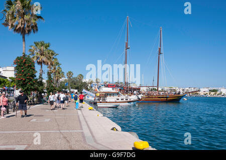 Les navires de croisière Excursion dans le port, la ville de Kos, Kos (Cos), du Dodécanèse, Grèce, région sud de la Mer Egée Banque D'Images