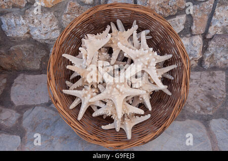 Dans l'étoile de l'extérieur de l'atelier basket, Pothia (Pothaia), Kalymnos, Dodecanese, Région de l'Egée du Sud, Grèce Banque D'Images