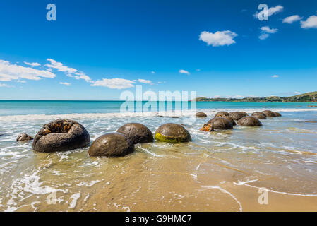 Exceptionnellement importantes et sphérique Moeraki Boulders situées le long de la plage sur la côte d'Otago, Nouvelle-Zélande. Banque D'Images