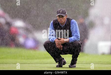 Golf - 36e Ryder Cup - deuxième jour - le K Club. Tiger Woods, équipe américaine de la Ryder Cup. Banque D'Images