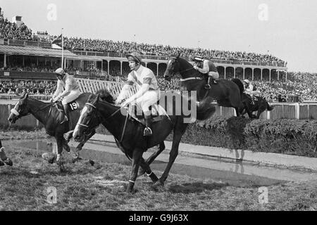 Les courses de chevaux - le Grand National Banque D'Images