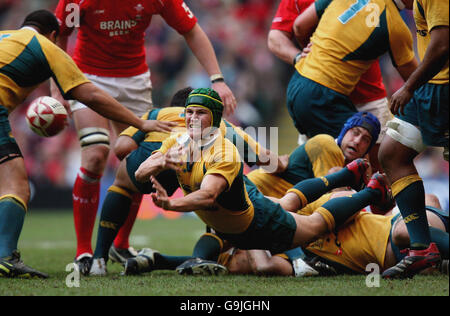 Rugby Union - match international - pays de Galles / Australie - Millennium Stadium.Matt Giteau, un australien, est parti pour le match international contre le pays de Galles au Millennium Stadium de Cardiff. Banque D'Images