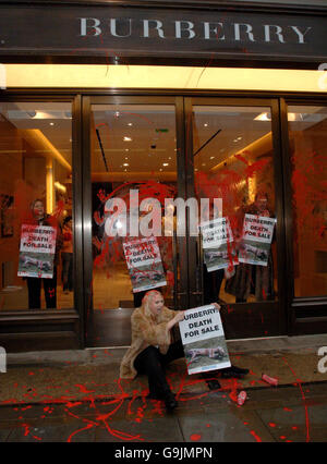 Les manifestants de l'organisation anti-fourrure PETA prennent le contrôle d'une boutique Burberry sur Regent Street à Londres. Banque D'Images