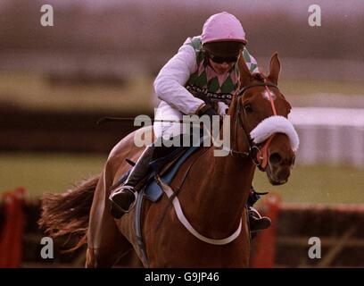 Courses hippiques - courses de Warwick.Seamus Durack sur Ready to Rumble sur le chemin de gagner le Fonds européen des éleveurs les novices de la chasse nationale se précipitent à Warwick Banque D'Images