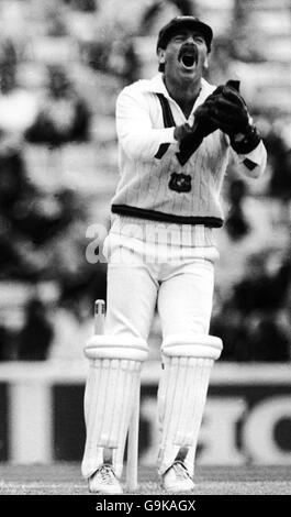 Le gardien de cricket australien Rodney Marsh fait un appel fort en tant que l'Angleterre Paul Parker est pris par Martin Kent au large du bowling De Terry Alderman Banque D'Images