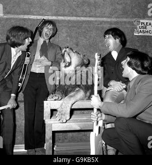 Marquess fournit un soutien de roar de lion réel pour le groupe pop Trogs, qui enregistrait la chanson The Lion à Londres. Les Trogs sont (de gauche à droite) Ronnie Bond, Chris Britton, reg presley et Peter Staples. Banque D'Images