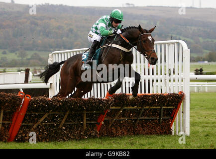 Racing - Cheltenham Banque D'Images