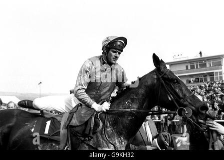 Les courses de chevaux - Cheltenham - Waterford Crystal Champion Hurdle Banque D'Images