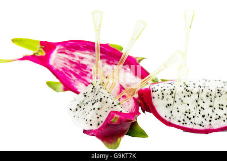 Dragon fruit slice Banque D'Images