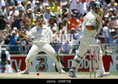 Steve Harmison, de l'Angleterre, célèbre le congédiement du capitaine australien Ricky Ponting (à droite) au cours du premier jour du troisième match de test au WACA, à Perth, en Australie. Banque D'Images