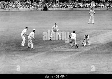 Ron Archer (r), en Australie, est perdu par le gardien de cricket de l'Angleterre Godfrey Evans (deuxième r) du bowling de Jim Laker (hors image) Banque D'Images