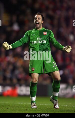 Soccer - Carling Cup - quart de finale - Liverpool contre Arsenal - Anfield. Manuel Almunia d'Arsenal célèbre Banque D'Images