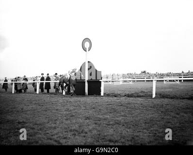 Les courses de chevaux - le Grand National Aintree - Banque D'Images