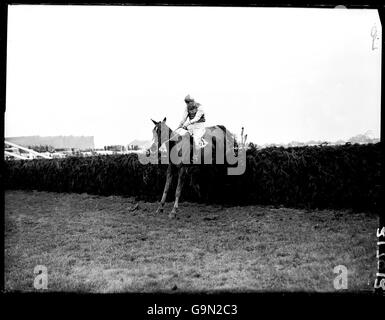 Les courses de chevaux - le Grand National Aintree - Banque D'Images