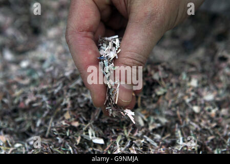 Notes écossaises déchiquetées. L'argent dure normalement deux ans et est trié par une machine qui détermine quand une note est trop endommagée pour rester en circulation. Photo prise au Musée sur la Mound Édimbourg. Banque D'Images