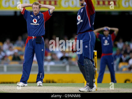 Cricket - Ashes Tour - Commonwealth Bank Series - Angleterre contre Nouvelle-Zélande - le Gabba.Paul Collingwood, en Angleterre, lors de la Commonwealth Bank Series à Gabba, Brisbane, en Australie. Banque D'Images