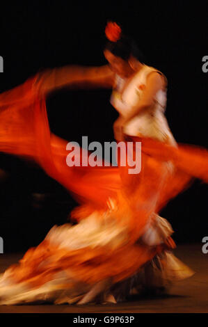 Festival Flamenco 2007 photocall Banque D'Images