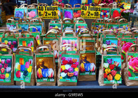 Bulbes de fleurs tulipes en vente dans le marché aux fleurs d'Amsterdam, Hollande Banque D'Images