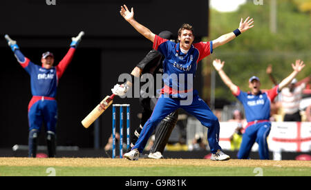 James Anderson d'Angleterre interjette appel lors de la coupe du monde de cricket 2007 de la CCI, match du groupe C contre la Nouvelle-Zélande au stade Beauséjour, gros Islet, Sainte-Lucie. Banque D'Images