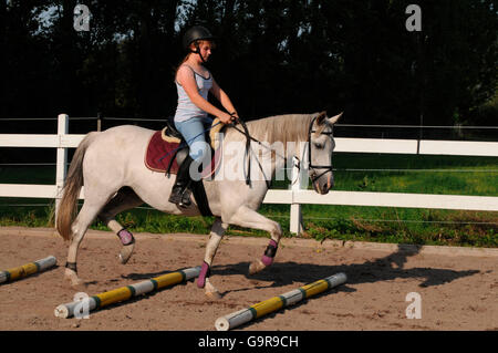 Fille sur le poney / Cheval allemand trotting poles, casque, manège Banque D'Images