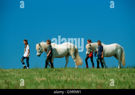 Les filles avec des chevaux Islandais Banque D'Images