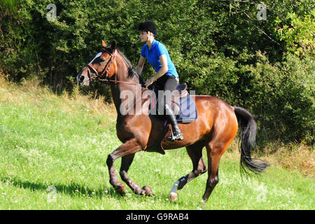 Fille avec l'Allemand Équitation, randonnée / Warmblood allemand Banque D'Images