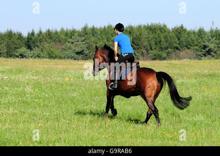 Fille avec l'Allemand Équitation, randonnée / Warmblood allemand Banque D'Images