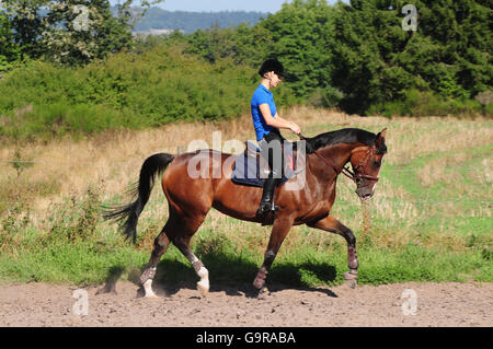 Girl with German Riding Horse, cheval Warmblood Allemand / entraînement, côté Banque D'Images