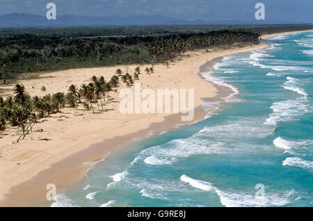 La plage de Bavaro, Punta Cana, La Altagracia, République dominicaine / Playa Bavaro Banque D'Images