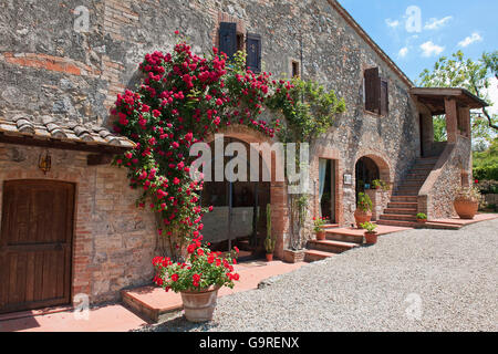 Bed and Breakfast Villa Baciolo, San Gimignano, Sienne, Toscane, Italie Banque D'Images