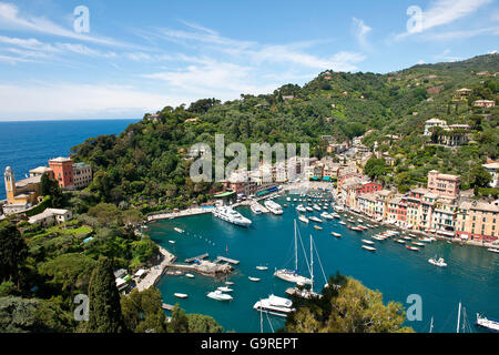 Port, l'église San Giorgio avec monastère, vue du château Brown, Portofino, Ligury, Italie Banque D'Images
