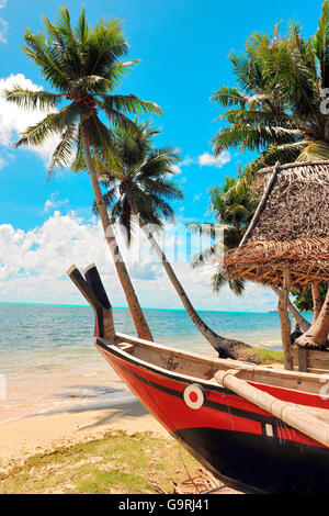 Canoë traditionnel à la plage sous les palmiers, Yap, Micronésie, le Pacifique occidental Banque D'Images