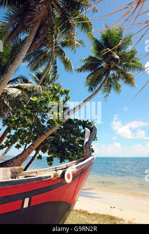 Canoë traditionnel à la plage sous les palmiers, Yap, Micronésie, le Pacifique occidental Banque D'Images