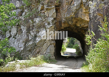 La main a creusé un tunnel à travers la roche solide sur l'ancienne route entre grafton Glen Innes et Grafton NSW Australie Banque D'Images