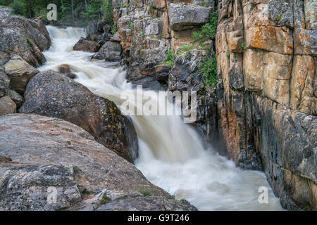 La Poudre cache à la rivière Powder Falls dans le nord du Colorado, au début de l'été , des paysages avec un débit élevé Banque D'Images