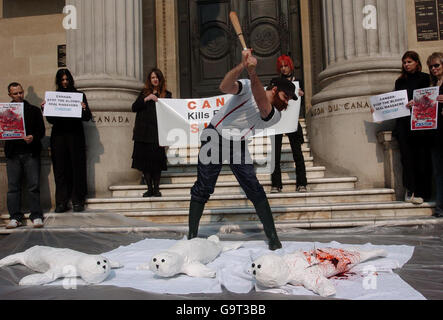 Des membres du groupe de protection des animaux PETA manifestent devant l'ambassade du Canada à Londres, avant le début de la chasse annuelle au phoque à Terre-Neuve. Banque D'Images