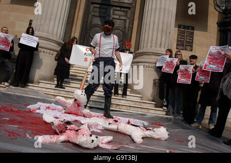 Des membres du groupe de protection des animaux PETA manifestent aujourd'hui devant l'ambassade du Canada à Londres, avant le début de la chasse annuelle au phoque à Terre-Neuve. Banque D'Images