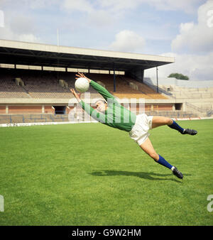 Football - Football League Division One - Sheffield Wednesday Photocall - Hillsbrough Banque D'Images